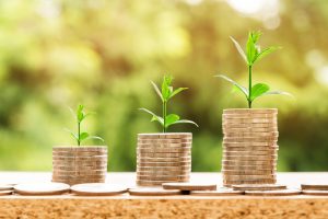 Expert Cricket Betting Tips for Profit: Pro Tips to Win in India (2026)